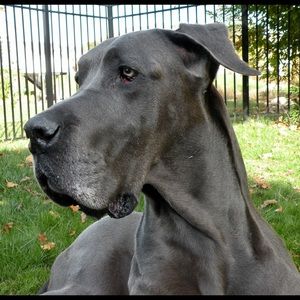 Meet your Posher, Dayna